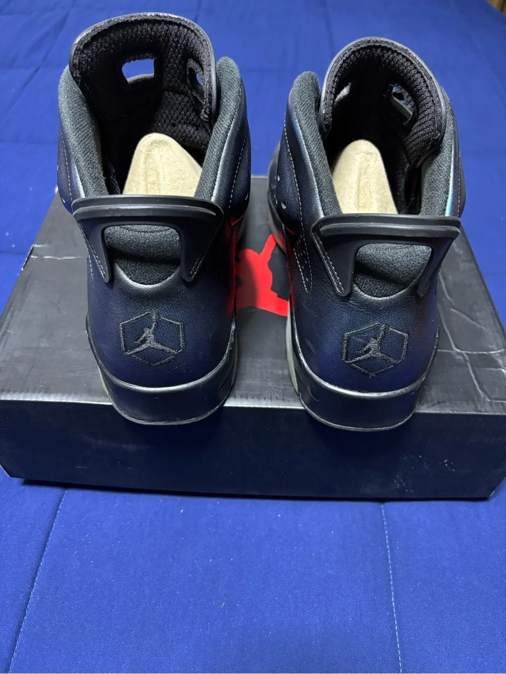 Jordan 6 Retro OG All Star Chameleon Size 12